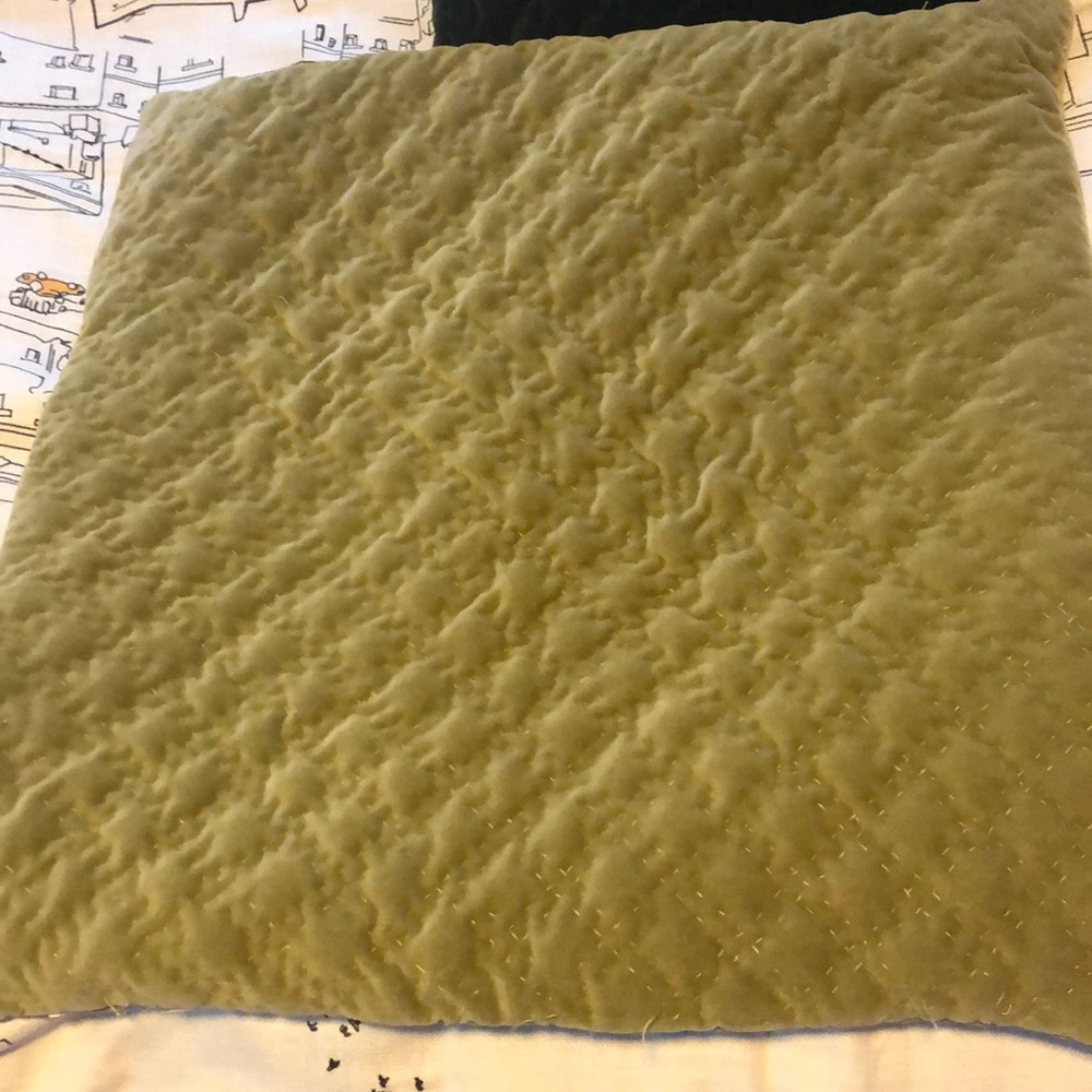 Pottery barn pillow case